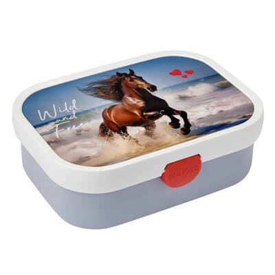 Lunchbox Campus Wild Horse